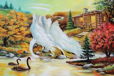 Three Swans by D. "Rusty" Rust canvas print