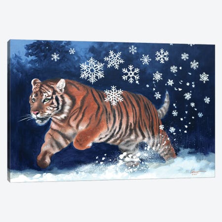Tiger Playing In The Snow Canvas Print #RSR189} by D. "Rusty" Rust Canvas Wall Art