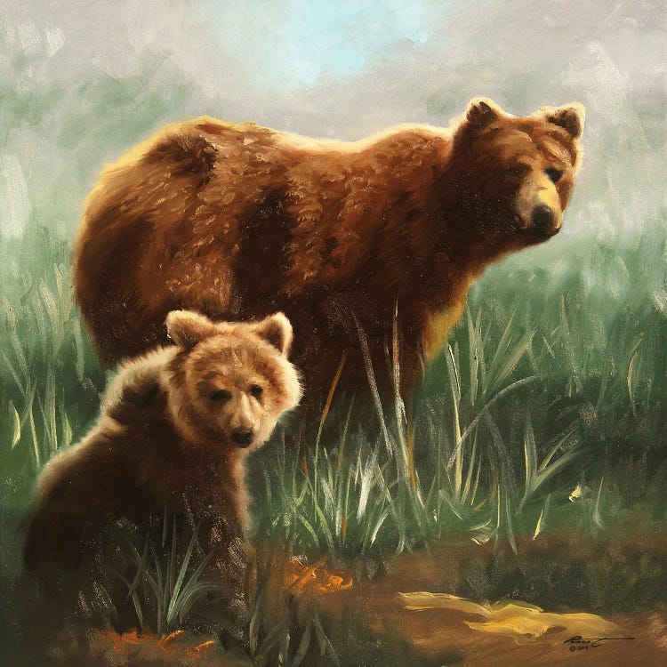 Brown Bears In Grassy Field