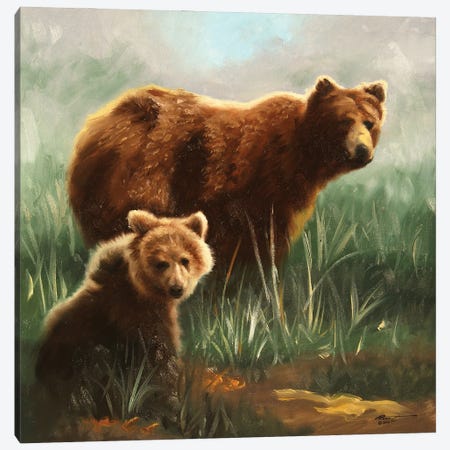 Brown Bears In Grassy Field Canvas Print #RSR18} by D. "Rusty" Rust Canvas Art Print