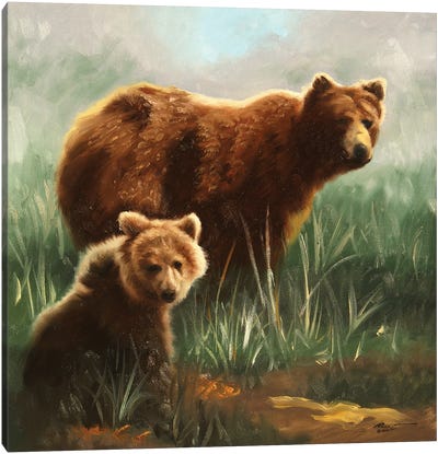 Brown Bears In Grassy Field Canvas Art Print - Brown Bear Art