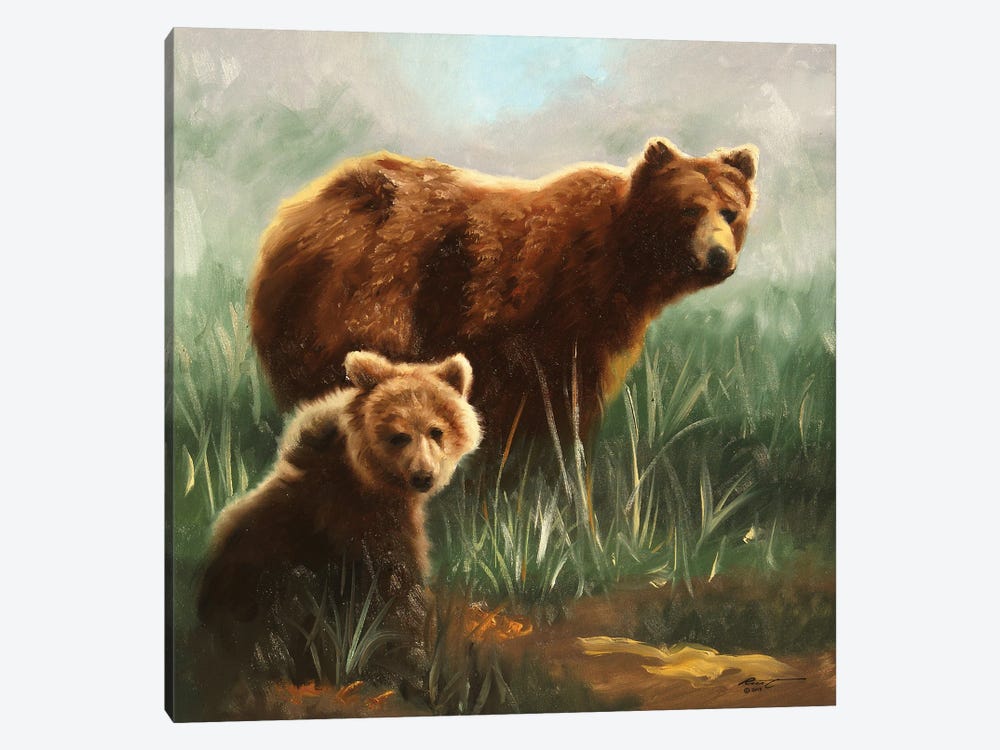 Brown Bears In Grassy Field by D. "Rusty" Rust 1-piece Canvas Wall Art
