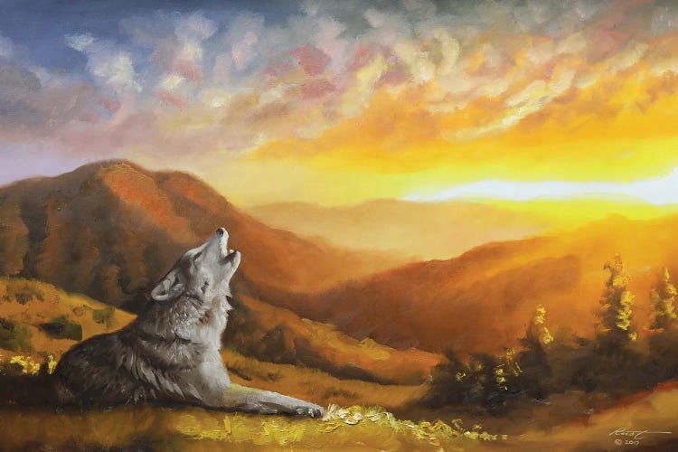 Wolf Howling At Sunset