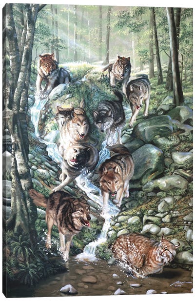 Up The Creek - Illusion Canvas Art Print - Wolf Art