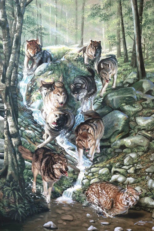 Up The Creek - Illusion by D. "Rusty" Rust wall art