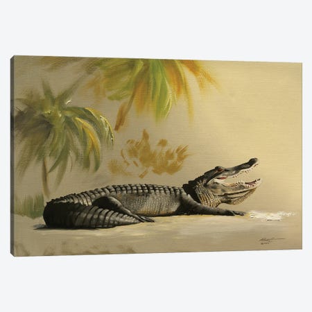 Gator In The Sand Canvas Print #RSR203} by D. "Rusty" Rust Canvas Art Print