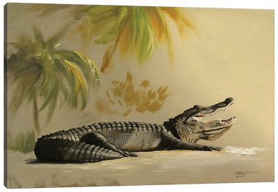Gator In The Sand Canvas Art Print - Crocodile & Alligator Art