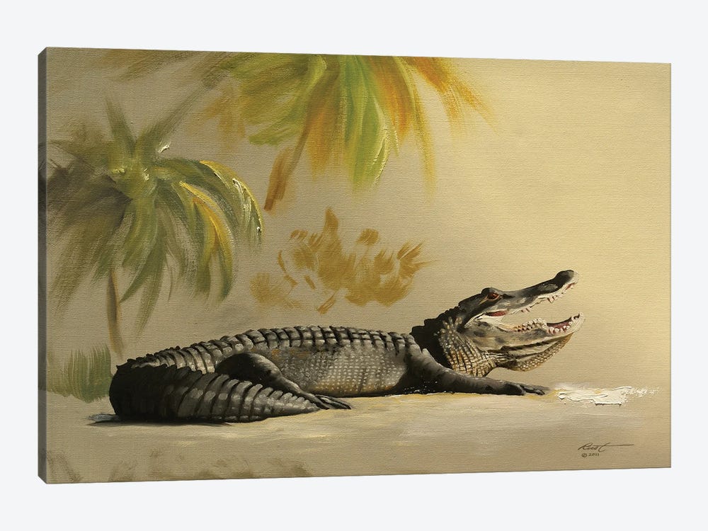 Gator In The Sand by D. "Rusty" Rust 1-piece Art Print