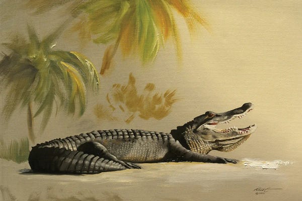 Alligators & Crocodiles: Gator In The Sand by D. "Rusty" Rust