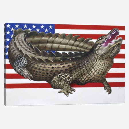 American Alligator Canvas Print #RSR204} by D. "Rusty" Rust Canvas Artwork