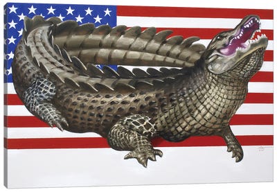 American Alligator Canvas Art Print - American Flag Art