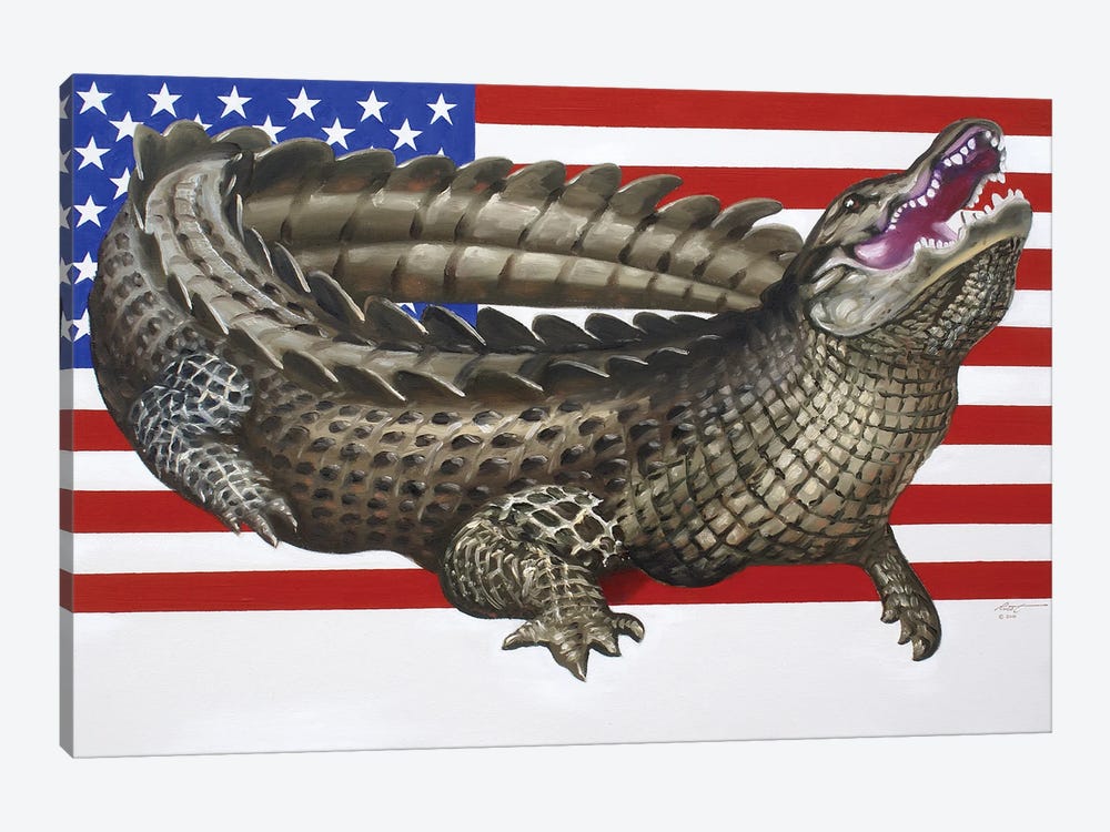 American Alligator by D. "Rusty" Rust 1-piece Canvas Wall Art