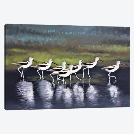 Seven Avocets Canvas Print #RSR207} by D. "Rusty" Rust Canvas Wall Art