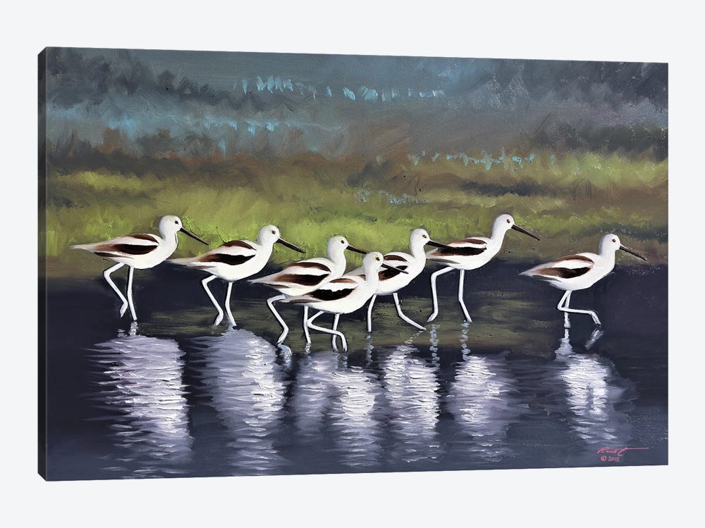Seven Avocets by D. "Rusty" Rust 1-piece Canvas Print
