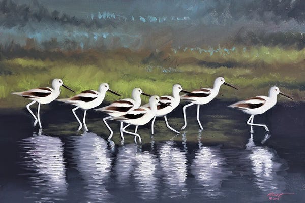 Seven Avocets