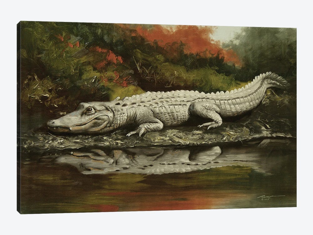 Aligator Living On The Edge by D. "Rusty" Rust 1-piece Canvas Print