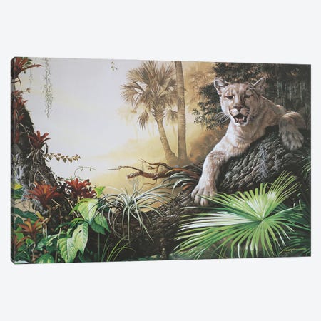 Florida Panther Canvas Print #RSR215} by D. "Rusty" Rust Art Print