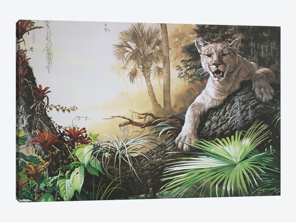 Florida Panther by D. "Rusty" Rust 1-piece Canvas Art