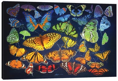Rainbow Of Butterflies Canvas Art Print - Monarch Butterflies