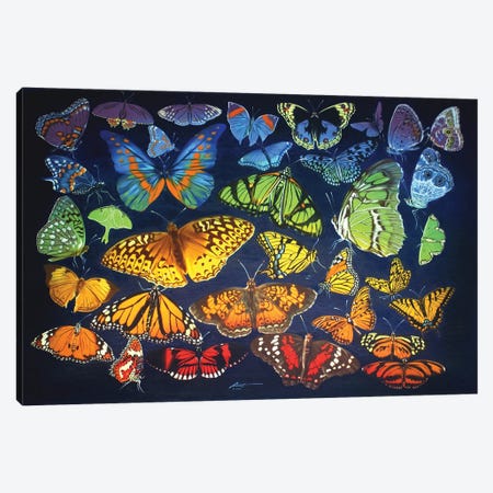 Rainbow Of Butterflies Canvas Print #RSR216} by D. "Rusty" Rust Art Print