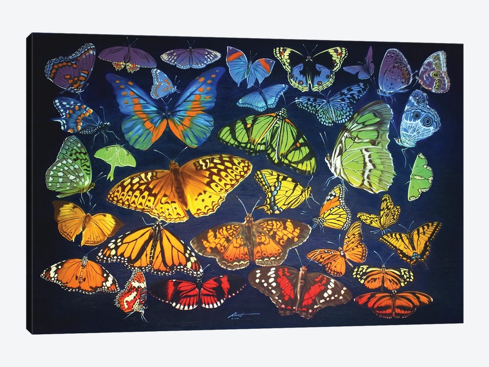 Rainbow Of Butterflies by D. "Rusty" Rust 1-piece Canvas Art Print