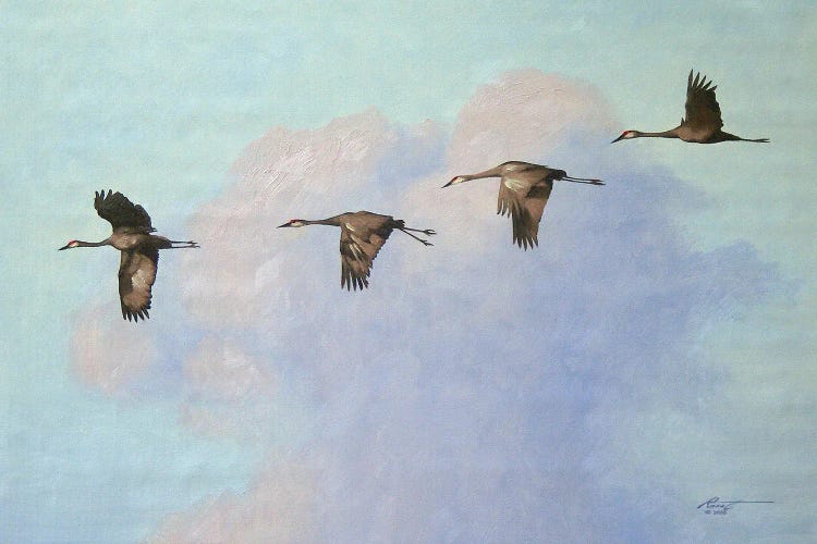 Four Cranes In Flight