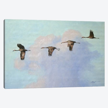 Four Cranes In Flight Canvas Print #RSR223} by D. "Rusty" Rust Art Print