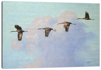 Four Cranes In Flight Canvas Art Print - Head in the Clouds
