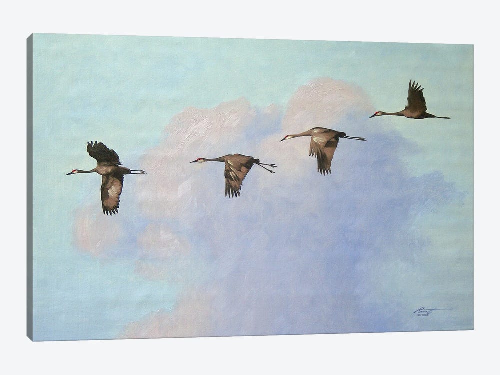 Four Cranes In Flight by D. "Rusty" Rust 1-piece Art Print