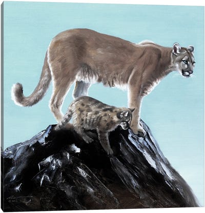 Cougar With Pup Canvas Art Print - Cougars