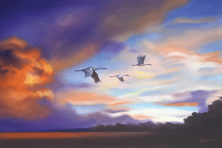 Cranes With Purple Sunset