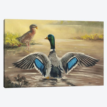 Nice Wings! Canvas Print #RSR229} by D. "Rusty" Rust Canvas Art Print