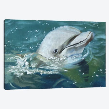 Friendly Dolphin Canvas Print #RSR230} by D. "Rusty" Rust Canvas Art