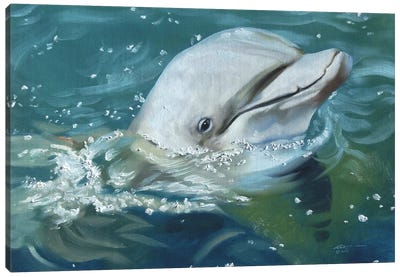 Friendly Dolphin Canvas Art Print