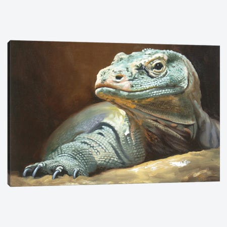 Komodo Dragon Canvas Print #RSR231} by D. "Rusty" Rust Canvas Artwork