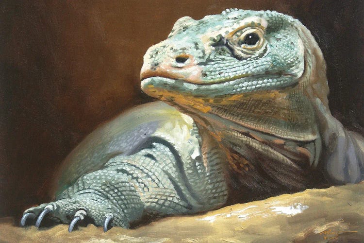 Komodo Dragon by D. "Rusty" Rust wall art