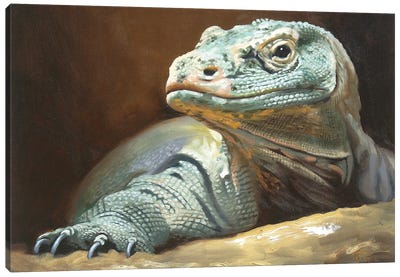 Komodo Dragon Canvas Art Print - D. "Rusty" Rust