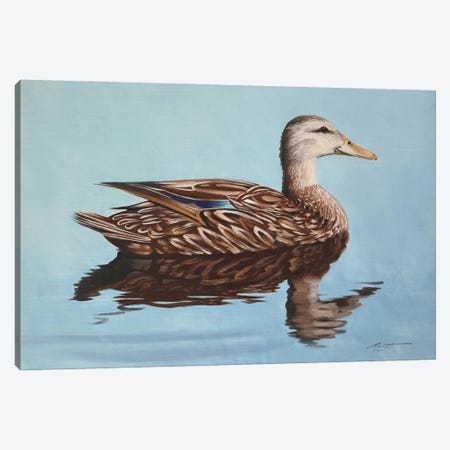Mallard Duck Canvas Print #RSR233} by D. "Rusty" Rust Canvas Artwork