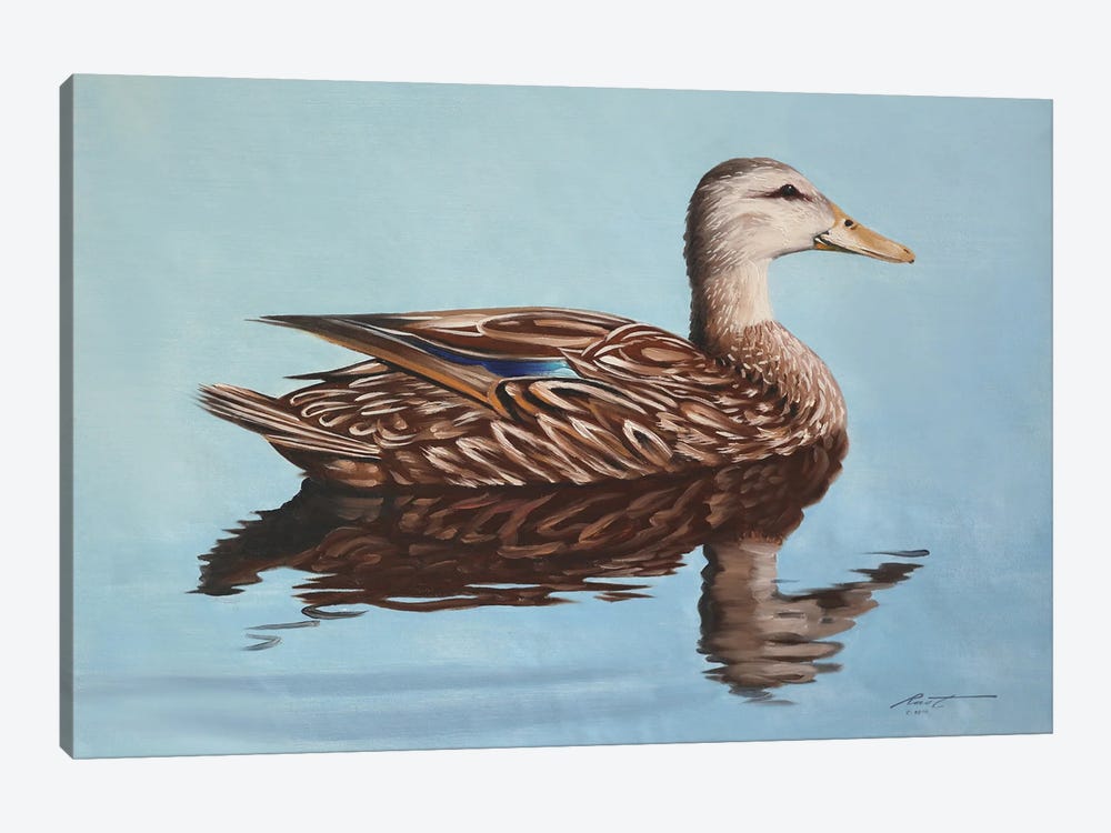 Mallard Duck by D. "Rusty" Rust 1-piece Canvas Art