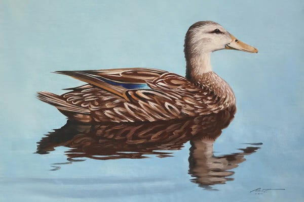 The Art Of The Feather: Mallard Duck by D. "Rusty" Rust