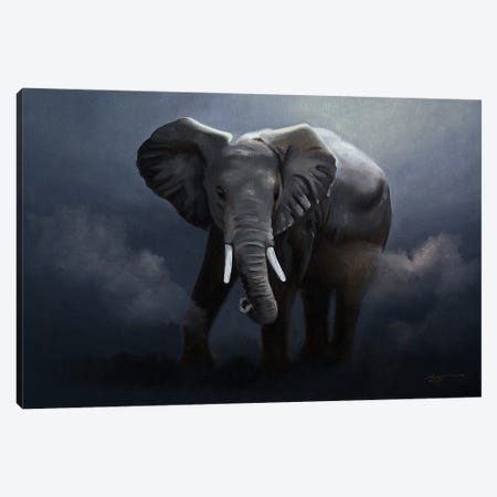Elephant Running In The Wild Canvas Print #RSR238} by D. "Rusty" Rust Canvas Art