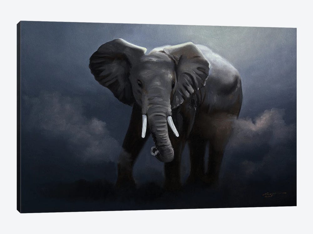 Elephant Running In The Wild by D. "Rusty" Rust 1-piece Canvas Print