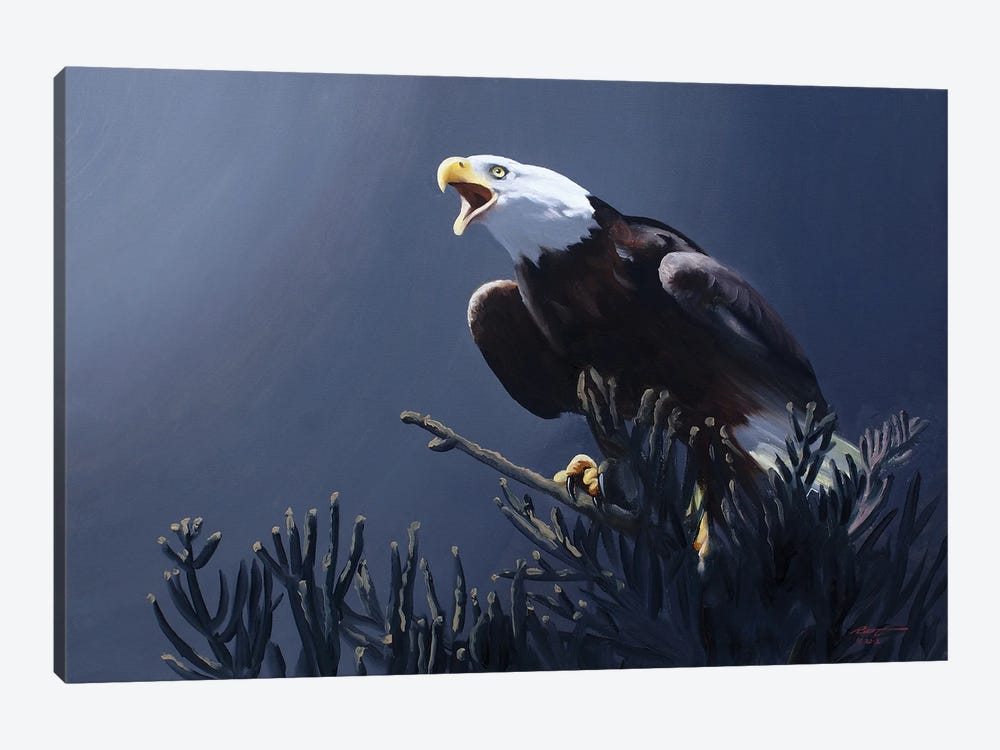 Bald Eagle At Top Of Pine Tree by D. "Rusty" Rust 1-piece Canvas Artwork