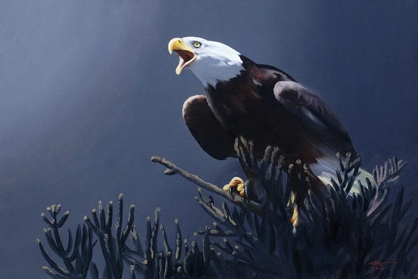 American Décor: Bald Eagle At Top Of Pine Tree by D. "Rusty" Rust
