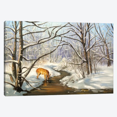 Deer In Wintry Scene Canvas Print #RSR23} by D. "Rusty" Rust Canvas Artwork