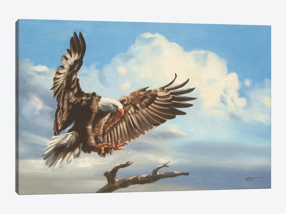 Bald Eagle Landing On Tree Branch by D. "Rusty" Rust 1-piece Canvas Art