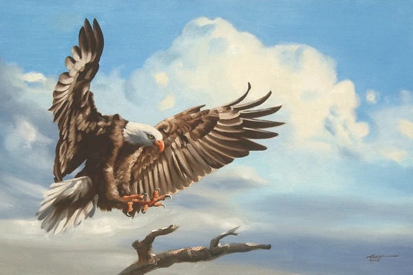 American Décor: Bald Eagle Landing On Tree Branch by D. "Rusty" Rust