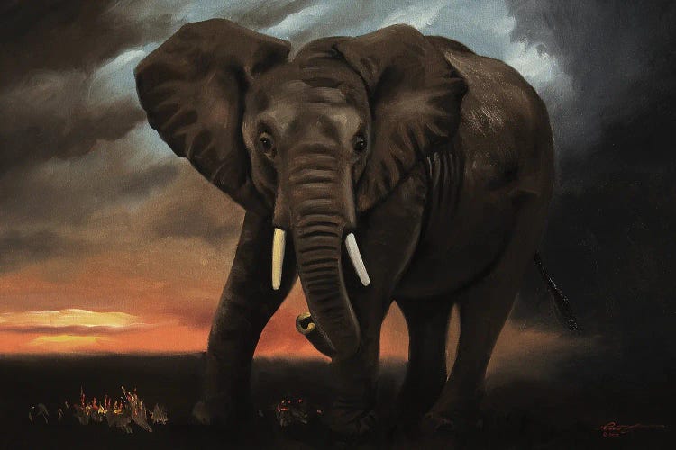 Elephant At Dawn