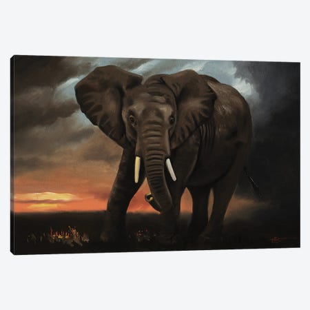 Elephant At Dawn Canvas Print #RSR242} by D. "Rusty" Rust Canvas Art Print