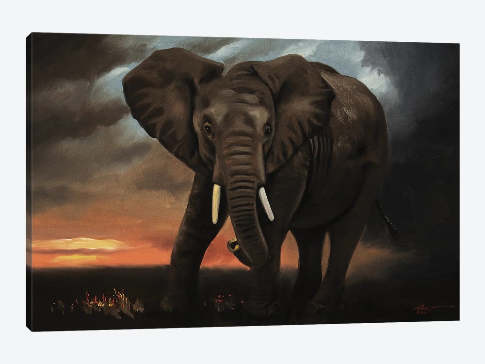 Elephant At Dawn by D. "Rusty" Rust 1-piece Canvas Art